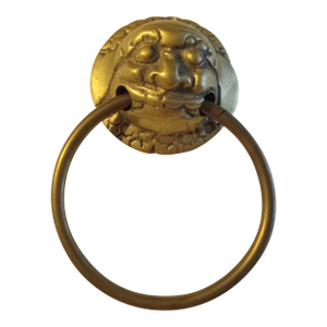 Vintage Brass Door Knocker