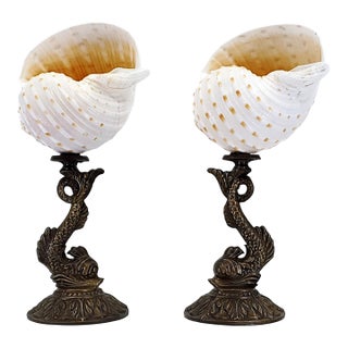 Sculpture Pair Antique Shells For Sale