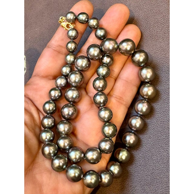 If you're in the market for a truly exceptional piece of jewelry, look no further than this 8-11.5 MM Tahitian Black...