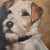 English Oil on Canvas Portrait Painting of a Terrier Dog For Sale - Image 3 of 4