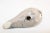 1950s Vintage Mexican Tonala Pottery Hand Painted Bird For Sale In Palm Springs - Image 6 of 12