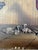 Bay Horse in a Stable, 1900s, Oil Painting on Board For Sale - Image 6 of 7
