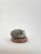 Wildlife Collection - Franco Vianello Lost-Wax Lion Sculpture - Water Hole For Sale - Image 4 of 5