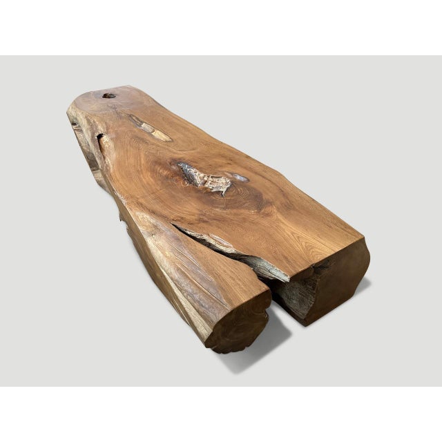 Contemporary Andrianna Shamaris Monumental Organic Teak Wood Coffee Table or Bench For Sale - Image 3 of 18