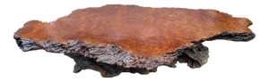 1970s Redwood Burl Coffee Table with Root Base