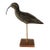 Vintage Hand Carved and Painted Wooden Shorebird, Folk Art For Sale