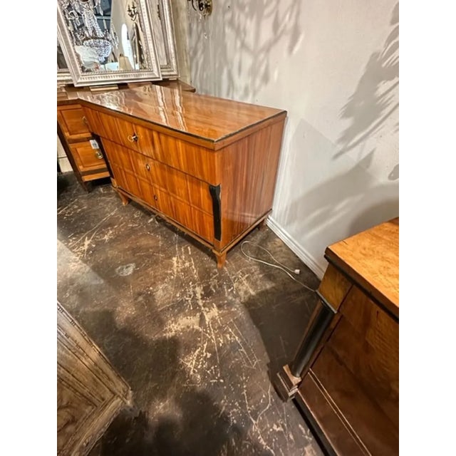 Early 19th Century 19th Century German Biedermeier Cherrywood and Ebonized Commode For Sale - Image 5 of 8