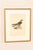 Early 20th Century Early 20th Century Swedish Framed Osprey Lithographs, C. 1920 - Set of 2 For Sale - Image 5 of 12