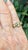 Antique 18k Gold Pearl and Turquoise Ring For Sale - Image 11 of 11