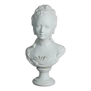 Late 19th Century French Louis XV Sevres Parian Ware Sculpture Bust of Marie Antoinett Signed L. Badessi C1880 For Sale