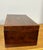 Antique English Box With Shell Design Inlay For Sale - Image 11 of 12