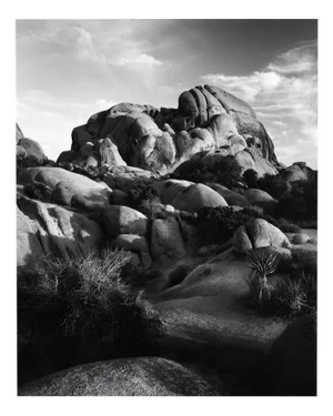 Jumbo Rocks California #2 - Analogue Black and White Desert Rocks 2023