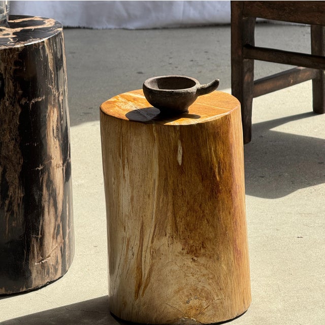 Small Side Table in Orange Petrified Wood, 1980s For Sale - Image 12 of 18