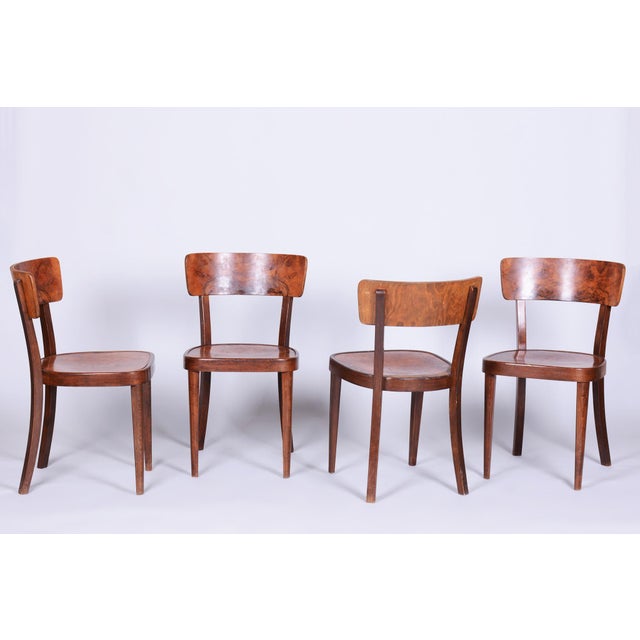 Art Deco Chairs in Beech and Walnut attributed to Thonet, Czech, 1940s, Set of 4 For Sale - Image 14 of 14