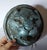 Antique 19thC Carved Architectural Lion Medallions, Gothic Plaques For Sale - Image 11 of 16