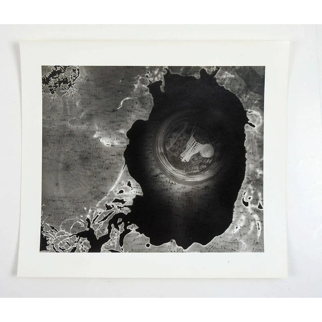 Contemporary Abstract Photograph With Snake Skull For Sale - Image 3 of 3