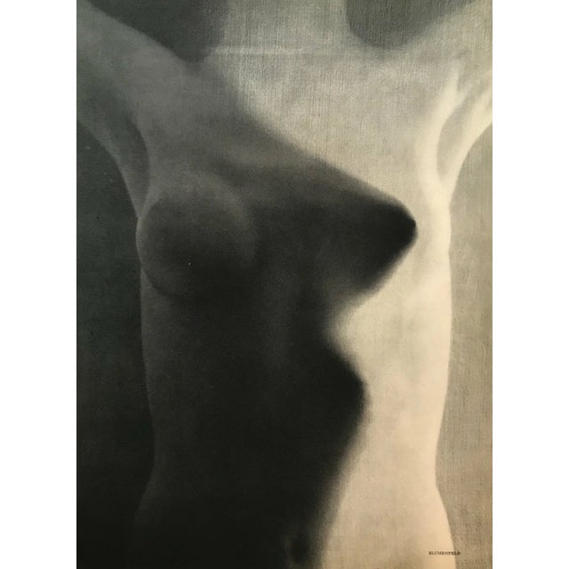 Artist: Erwin Blumenfeld Title: Phhotogravure No. 1 Medium: Heliogravure Marks: Not signed not numbered Paper Size: Vellum...