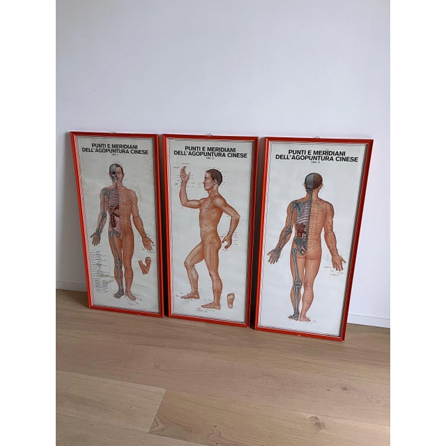 Paper Vintage Chinese Acupuncture Points and Meridian Anatomical Tables, 1960, Set of 3 For Sale - Image 7 of 12