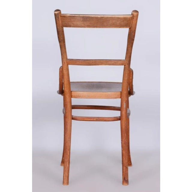 Art Deco Beech Chair from Fischel, Czechia, 1920s For Sale - Image 9 of 10