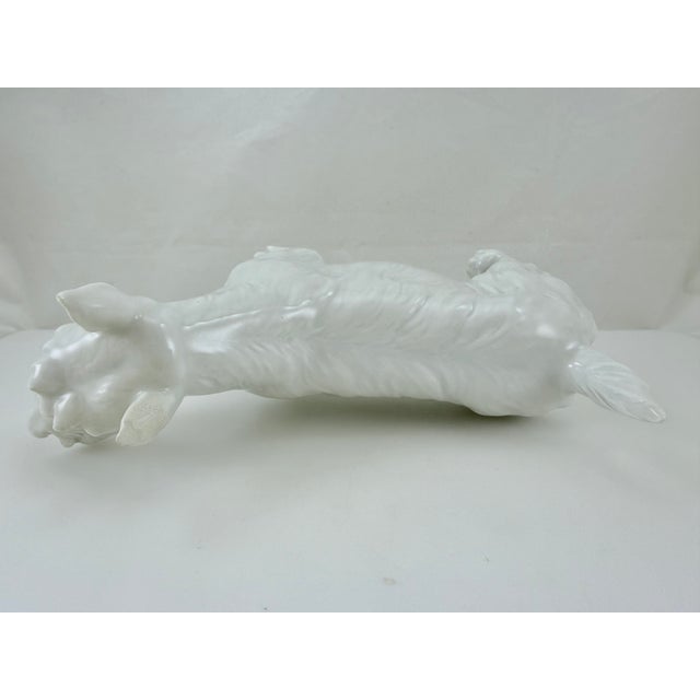 Ceramic Meissen Blanc De Chine Porcelain Scottish Terrier For Sale - Image 7 of 9
