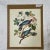 1964 Band-Tailed Pigeon Reproduction Print After Audubon For Sale - Image 13 of 13
