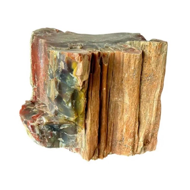 Natural Petrified Wood Specimen. #1 For Sale - Image 4 of 11