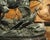 French 19th Century French Bronze Sculpture, a Pointer and Spaniel Hunting a Pheasant For Sale - Image 3 of 18