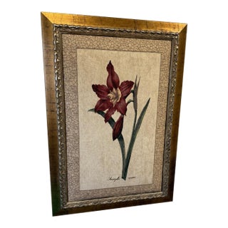 Vintage Framed Botanical Amaryllis Needlepoint- Decorative Arts, Inc. For Sale