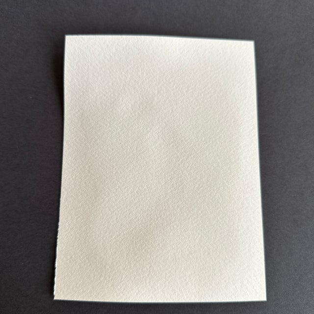 Contemporary Signed Original Watercolor Botanical Painting “Potted Passion” by Nancy Smith For Sale - Image 3 of 3