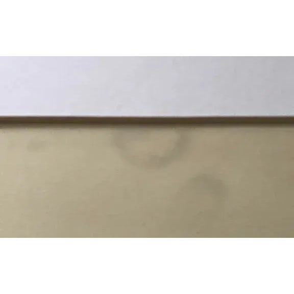 1920s Portrait of a Silent Movie Start Photograph, Framed For Sale In Palm Springs - Image 6 of 8