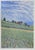 Contemporary Lucio Rofrano, Countryside, 1990s, Lithograph For Sale - Image 3 of 3