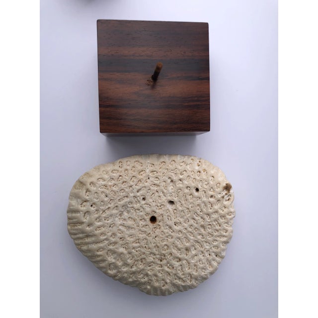 1970s 1970s Mounted Coral Fossil Specimens- Set of 2 For Sale - Image 5 of 12