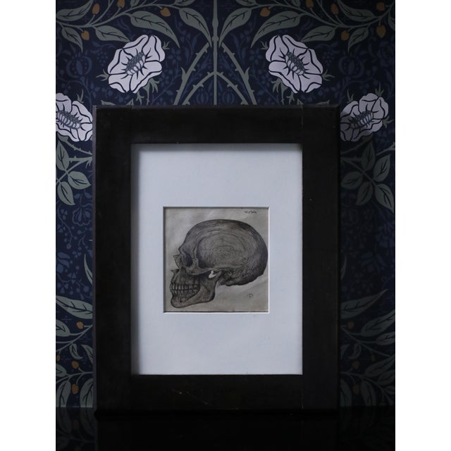 Anatomical Skull Ink Drawing, Circa 1844 Continental Initialed “D,” Framed For Sale - Image 4 of 4