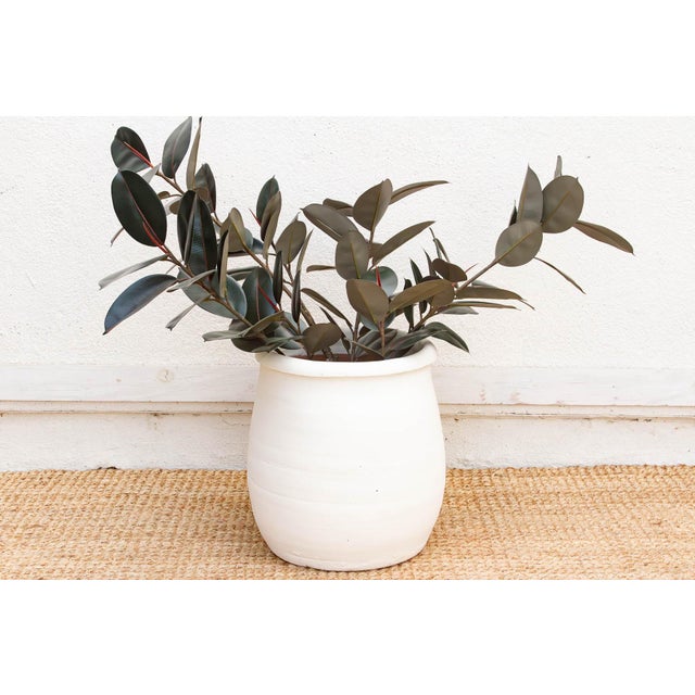 White 19" Dm Chalk White Mediterranean Urn Planter For Sale - Image 8 of 8