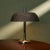This table lamp, designed by Heinz F.W. Stahl for Egon Hillebrand GmbH in the 1960s, showcases a unique aged patina on its...