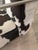 Brown Vintage Flexform a.b.c. Reclining Cowhide Chair by Antonio Citterio Italy For Sale - Image 8 of 18