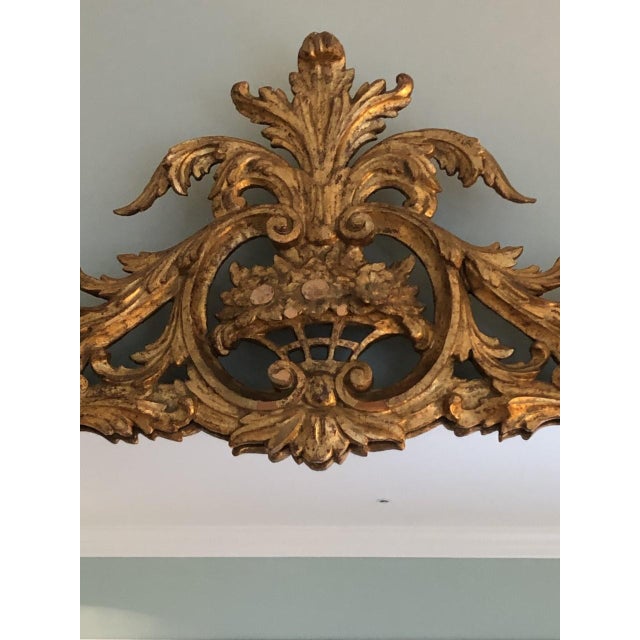 Early 20th Century Italian Rococo Gilded Gold Mirror | Chairish