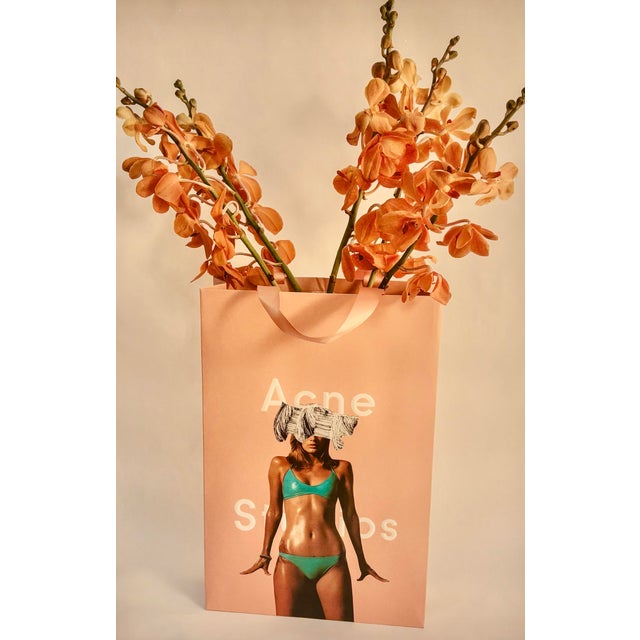 Bagged It Acne Blue Bikini is an original appropriation artwork by Dina Broadhurst using collage and mixed media, source...