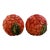 Fitz & Floyd Red Zinna Flower Salt & Pepper Shakers-a Pair For Sale