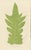 Edward J. Lowe, Ferns, 1856, Lithographs, Set of 10 For Sale - Image 6 of 14