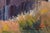 Mendocino Homestead, Vintage 1970's Northern California Landscape by Jon Blanchette For Sale - Image 4 of 4