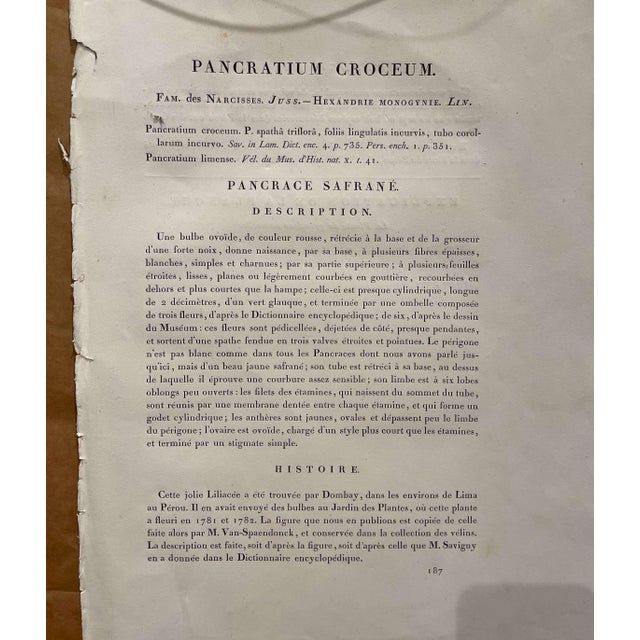 18th Century Italian Neo Classical Saint John Basilica Black and White Engraving For Sale - Image 11 of 12