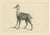 After Oudry, Agile Chamois or Mountain Goat Antelope, 1740, Print For Sale - Image 6 of 6