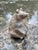 Handcrafted Bear Figurine in Soapstone, Germany, 1970s For Sale - Image 14 of 15