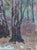 Impressionist Forest Oil Painting, Ukrainian Artist Sokolovsky, 1970s 30-23 For Sale - Image 6 of 6