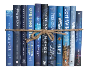 Decorative Books - Blue Jean Dust Jacket Book Bundle - 1 Foot of Books