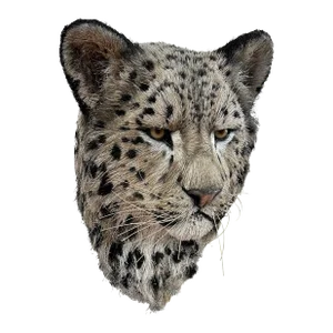 Anne Andersson Sisal Fiber Snow Leopard 2006
