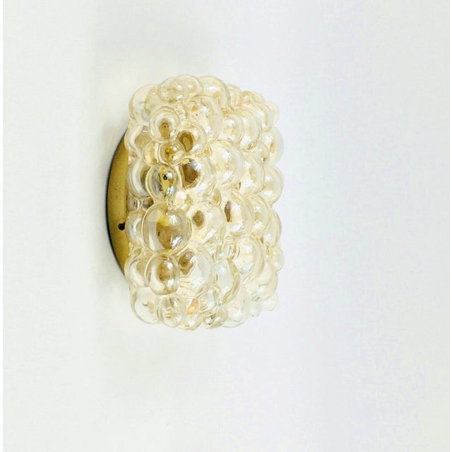 Glashütte Limburg Mid-Century Amber Bubble Glass Wall Light by Helena Tynell for Limburg, Germany, 1970s For Sale - Image 4 of 10