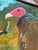 “Dead Skunk” Turkey Vulture Painting by LWren Walraven For Sale - Image 10 of 15