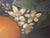 Antique English Still Life Painting of Fruit For Sale - Image 14 of 14